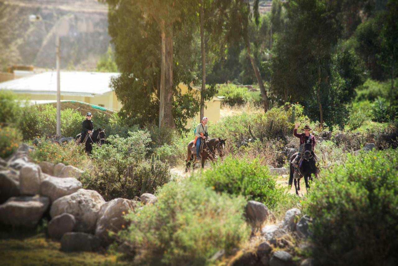 فندق Le Foyer Colca Yanque المظهر الخارجي الصورة